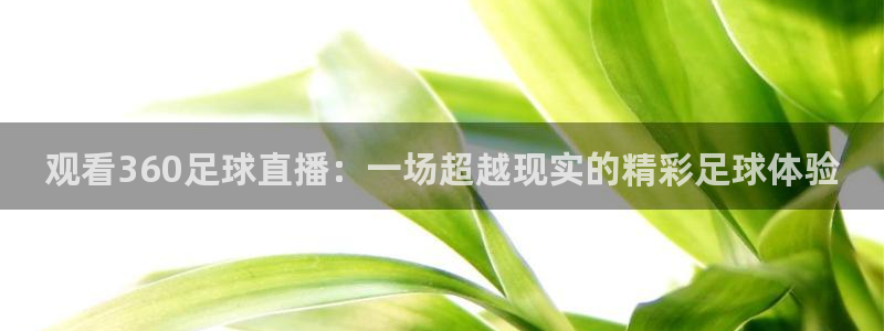 观看360足球直播:一场超越现实的精彩足球体验
