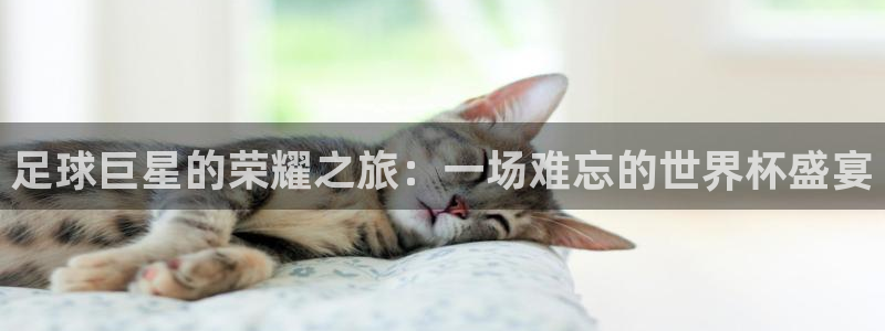 足球巨星的荣耀之旅:一场难忘的世界杯盛宴