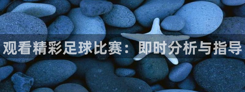 观看精彩足球比赛:即时分析与指导