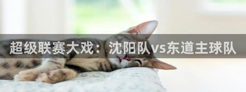 超级联赛大戏:沈阳队vs东道主球队